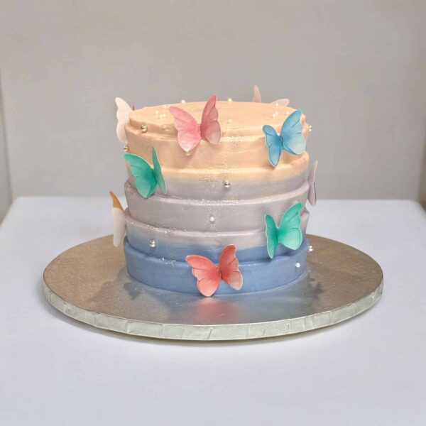 Pastel Butterfly Cake